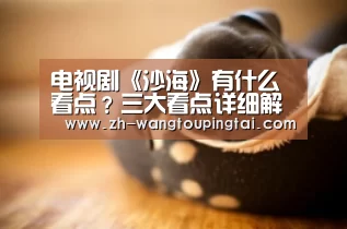 电视剧《沙海》有什么看点?三大看点详细解析‘世界杯网投平台’(图4) 世界杯网投平台
