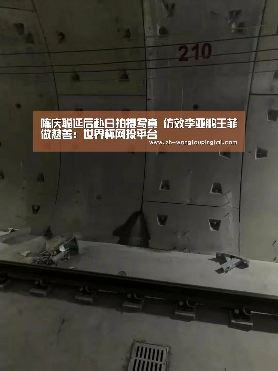 世界杯网投平台