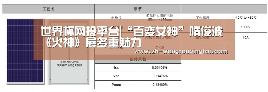 世界杯网投平台