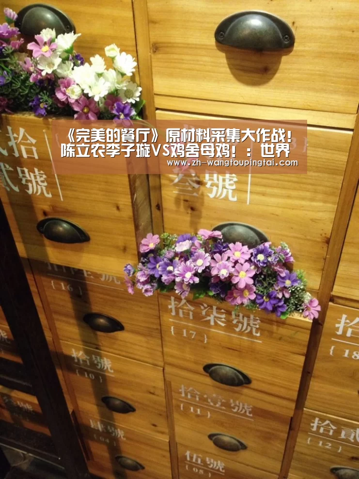 世界杯网投平台